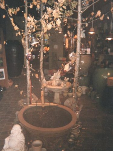 Bringing the outdoors in - using small trees gives a feeling of being out in nature.